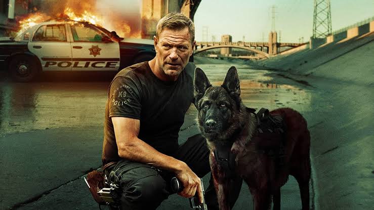 video-section-banner-image